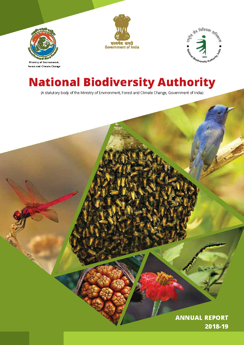 Annual Report (2018-2019)