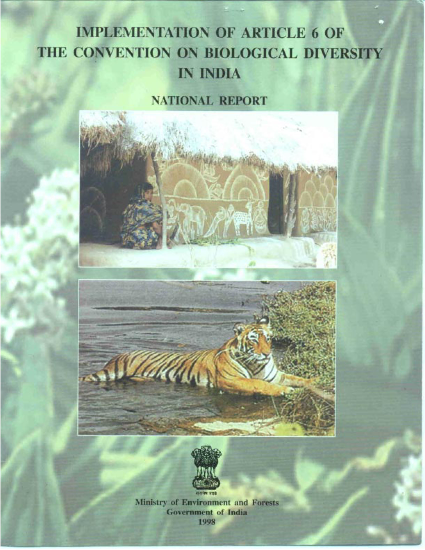 First National Report 