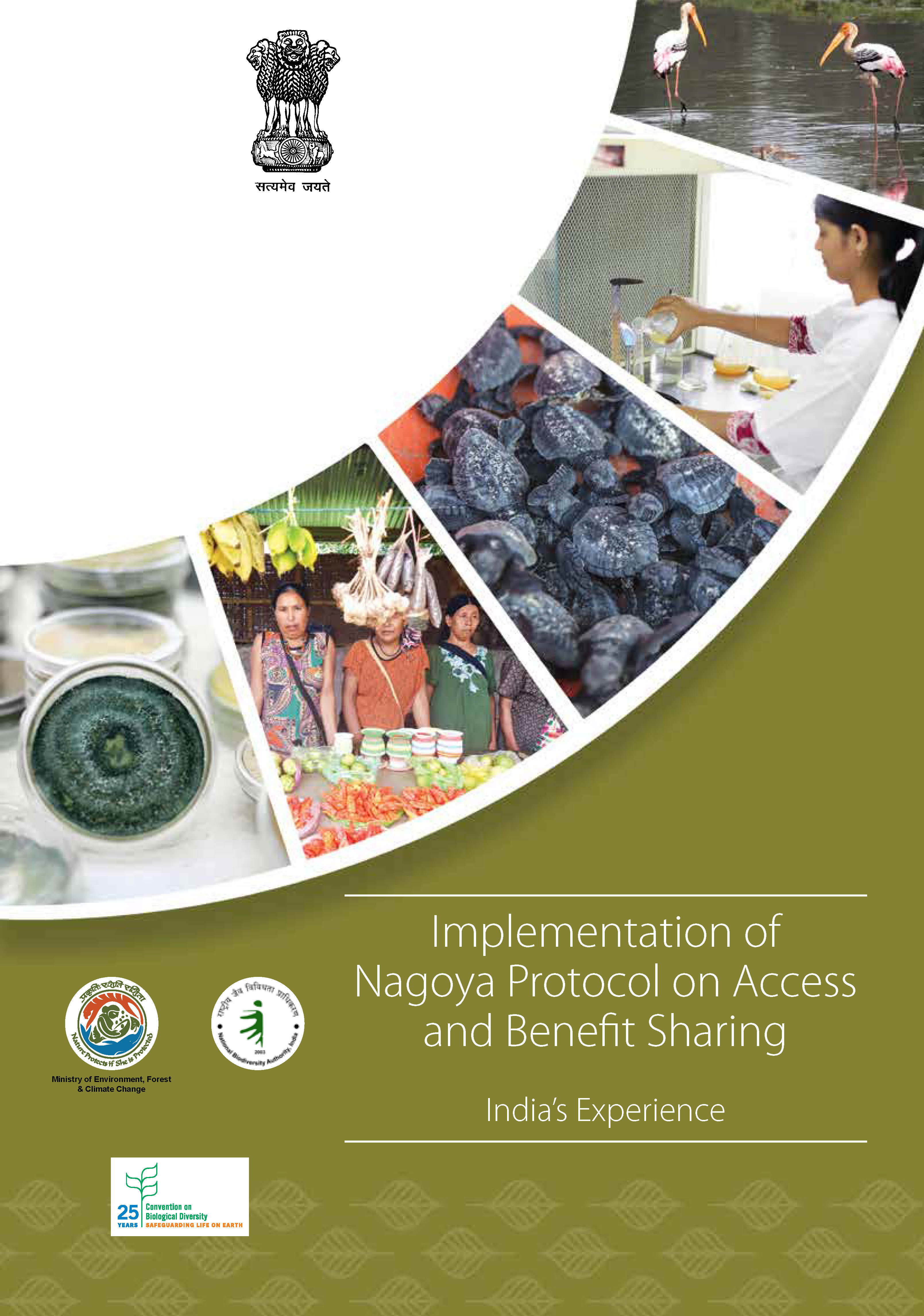 Implementation of NP on ABS in India