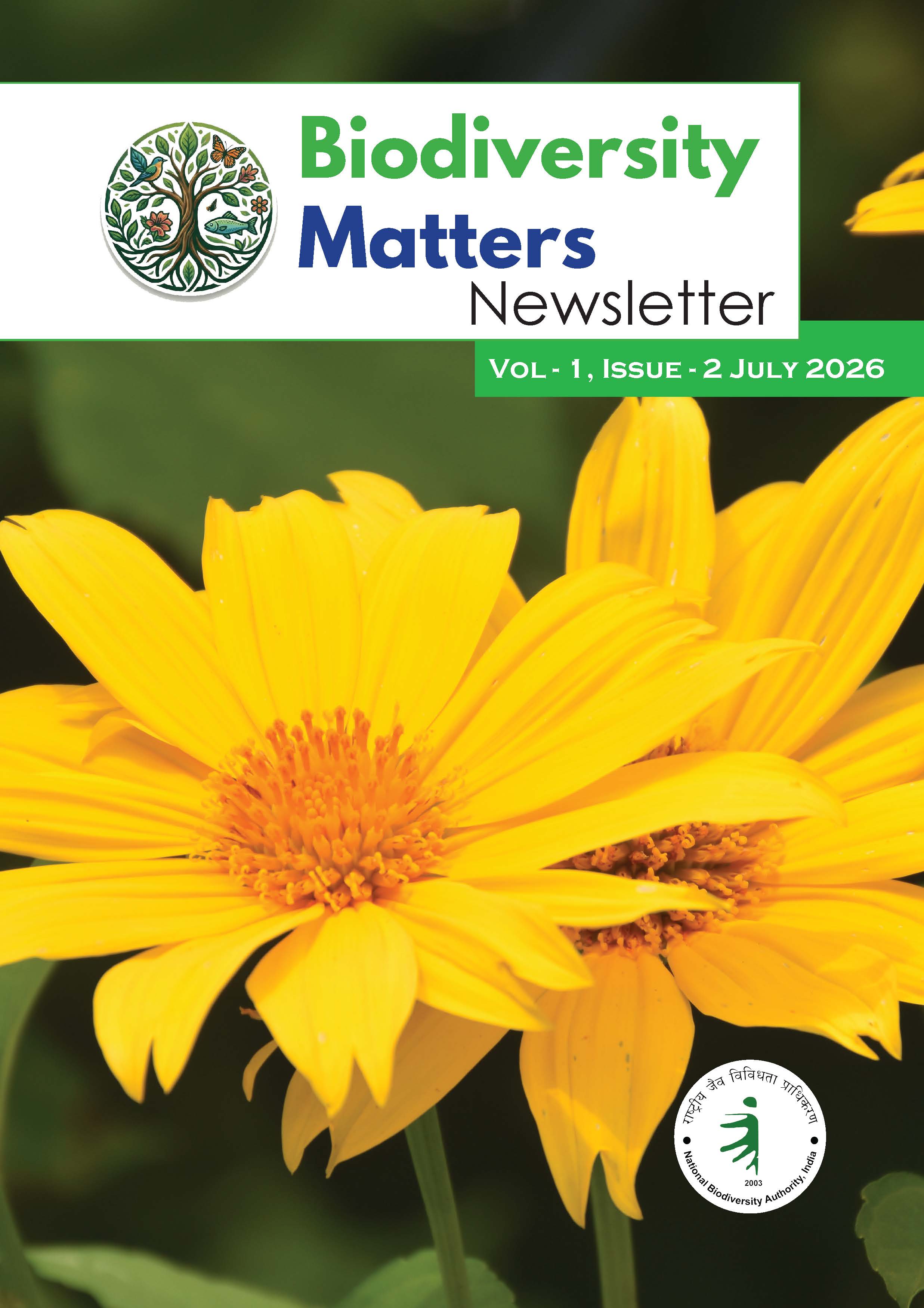 2nd issue